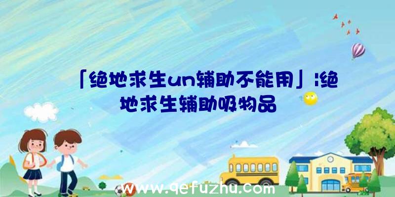 「绝地求生un辅助不能用」|绝地求生辅助吸物品